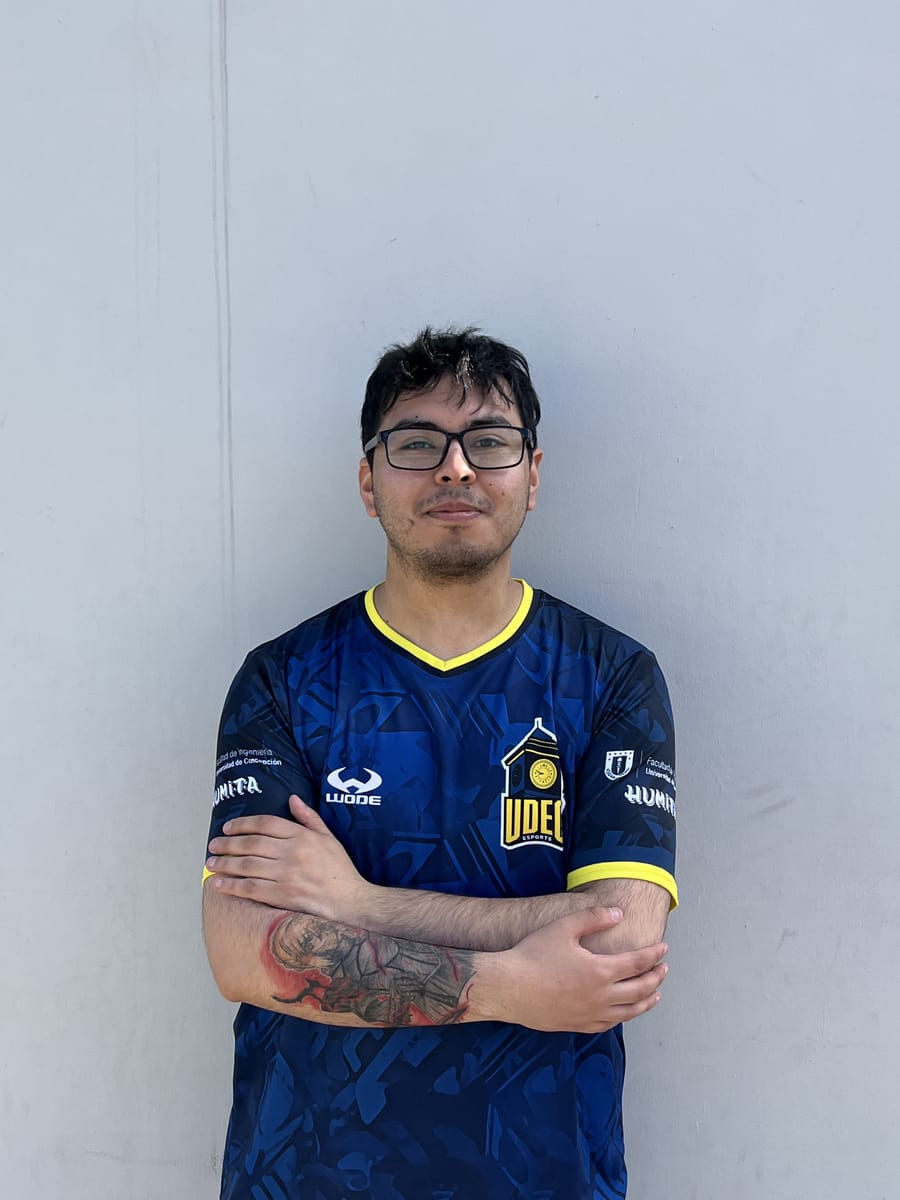 Foto de Pollo